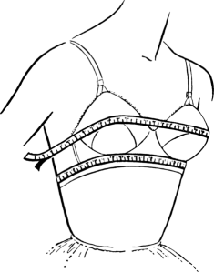 bra measurement